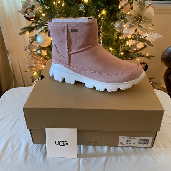 New Authentic Palomar Sneaker - Picture 2 of 5